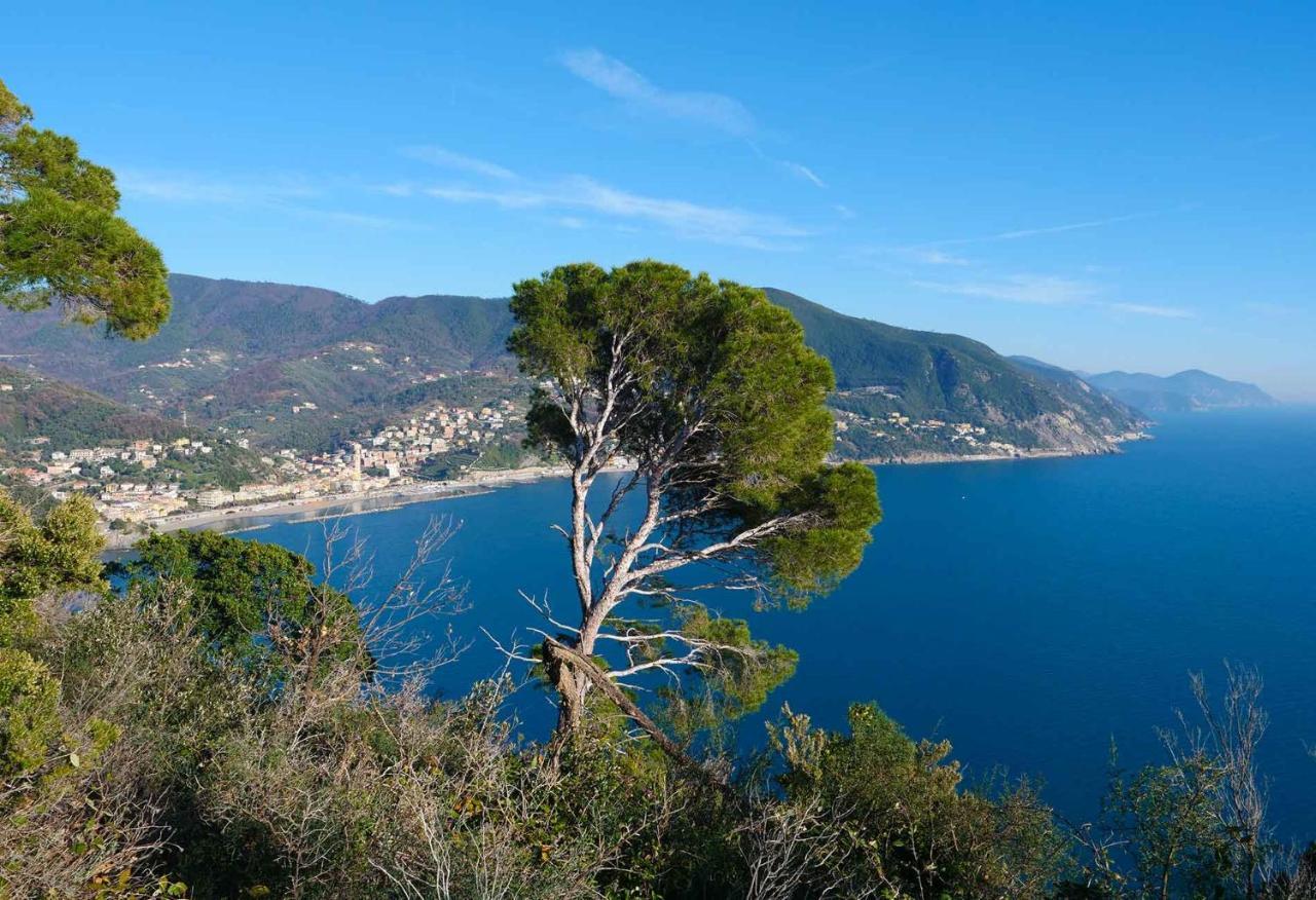 M'Illumino D'Immenso - Moneglia Apartments 外观 照片