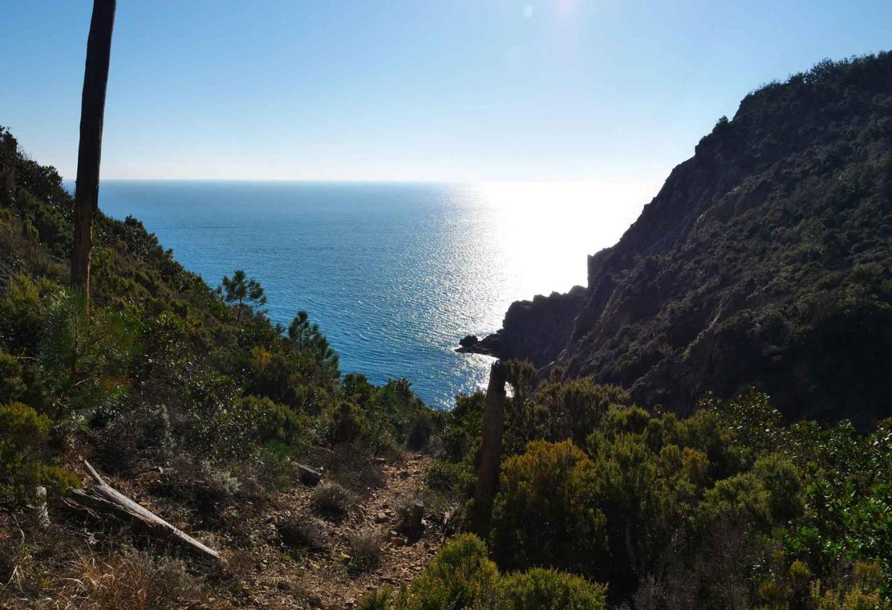 M'Illumino D'Immenso - Moneglia Apartments 外观 照片
